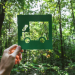 Ecologia e trasporti: le novità dal mondo degli autotrasporti
